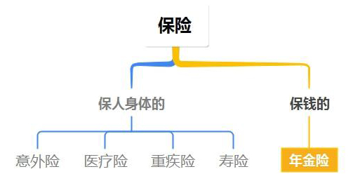 科普：什么是年金险？和养老金、教育金、增额终身寿险什么关系？(图1)