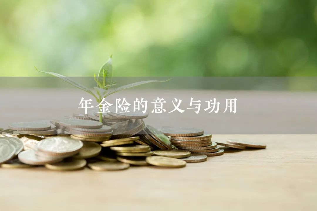 年金险的意义和功用